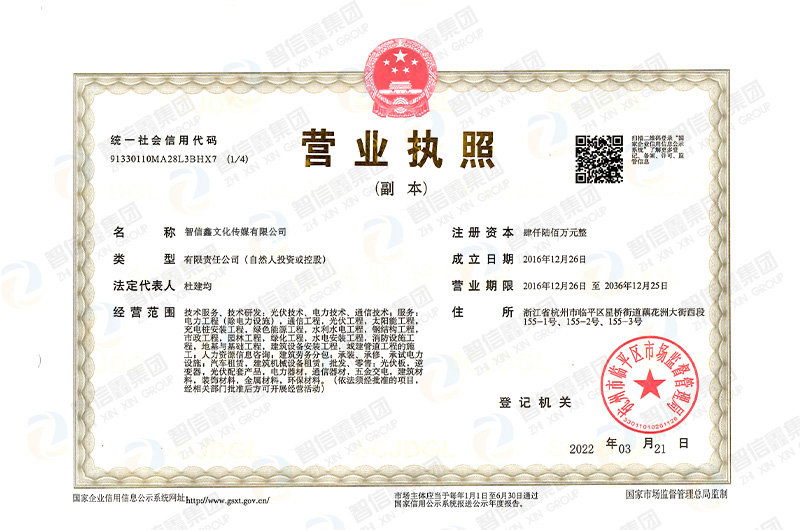 浙江光线能源有限公司营业执照