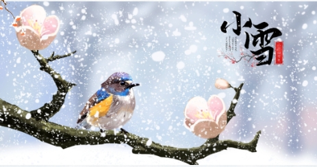 二十四节气 | 小雪—飞雪如花落，岁岁又年年！